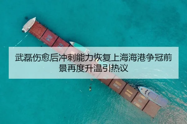 武磊伤愈后冲刺能力恢复上海海港争冠前景再度升温引热议