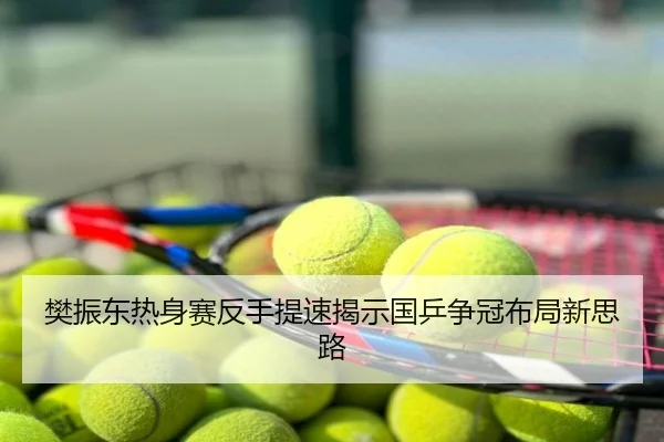 樊振东热身赛反手提速揭示国乒争冠布局新思路